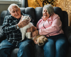 Raymond D. Nicholls
and Linda Splaine, Killaloe. Ages: Raymond 84, Linda 73. Raymond and Linda at home with their beloved pets, Babe the dog and Boo the cat.