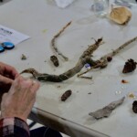 Glass beads on a stick.