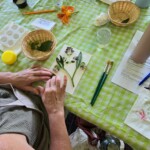 Hands place plants on watercolour paper.
