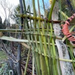 Weaving out of plants