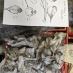 A design for a needle felted birth with raw wool.