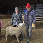Two people stand with a sheep.