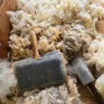 Wool ready to be felted.