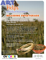 Art Helps Braiding Sweetgrass